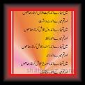 Talaash Farhat Shah 01fas * 22.11.2010 * 341 x 824 * (58KB)